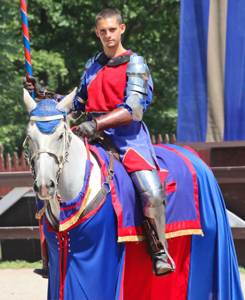 blue and red caparison