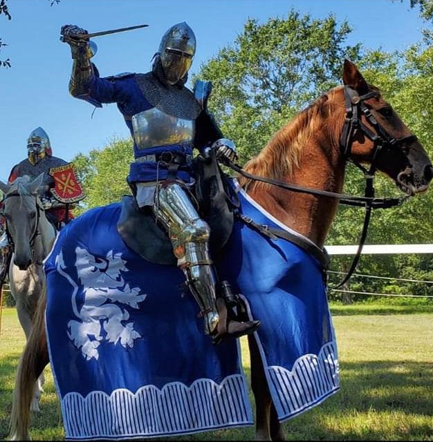 blue and white caparison