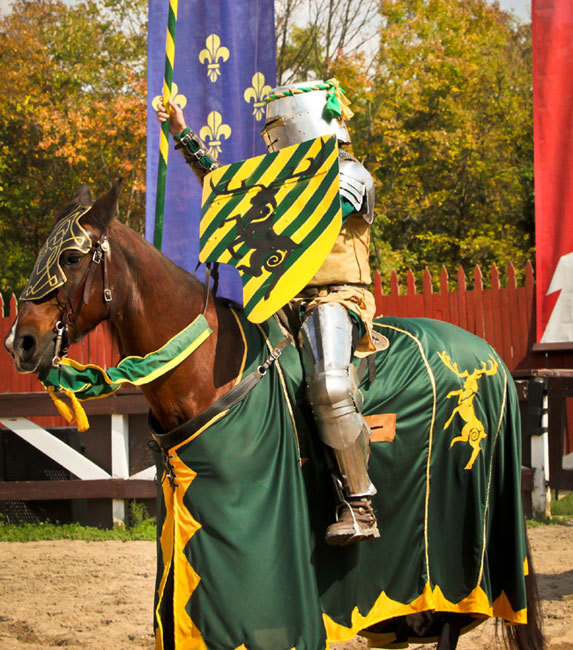 green and gold caparison